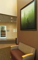 framed fine art prints
